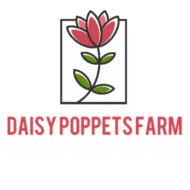 Daisy Poppets Farm 